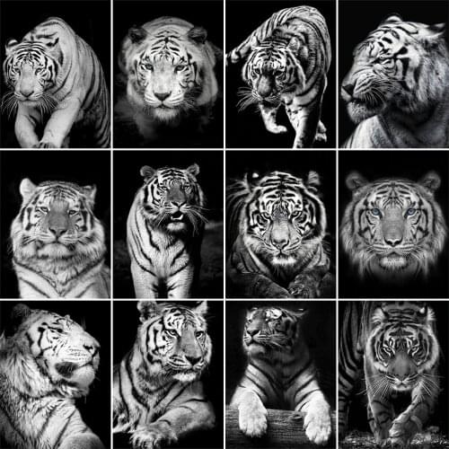 Evershine Diamond Painting Black White Animals 5D DIY Diamond Embroidery Tiger Rhinestone Pictures Mosaic Art Home Decoration