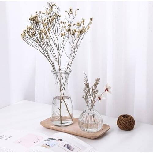 Hydroponic Plants Vase Simple Creative Glass Vase Home Decorative Table Transparent Flower Vase