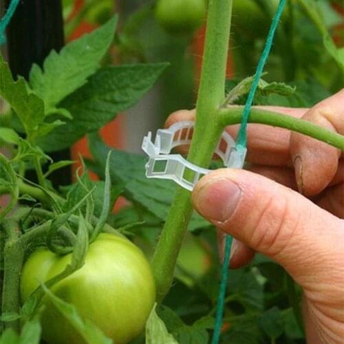 50pcs 23mm Plastic Plant Support Clips For Tomato Hanging Trellis Vine Connects Plants Greenhouse Vegetables Popular Ornament