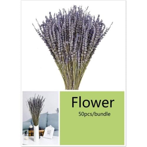 50pcs Naturalc Lavender Dried Flower Bouquet for Wedding Party Decoration DIY Immortal Flower Decor Garden Living Room Decor
