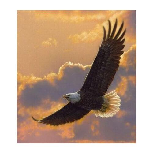 14CT Unprinted Crafts Eagles Fly Animals For Embroidered Handmade Arts Quality Counted Cross Stitch Kits Set Deco Wall Home