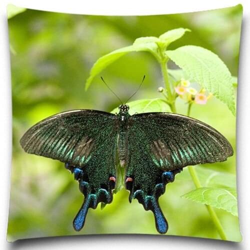 Butterfly animals pattern Cushion Covers insect yellow Green Square pillow case for Home car sofa Decor