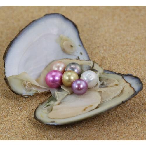 5PCS New Rainbow 9-12mm Edison Pearl in Freshwater Oyster Wish Pearl Edison Oyster Birthday Gift Women party DIY Jewelry FP006
