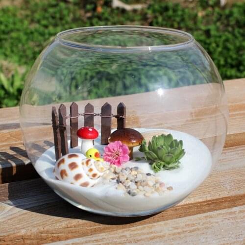 Diameter=12cm Middle Size Flat Mouth Glass Terrarium Vase Landscape Container Fashion Glass Fish Bowl Home Decorative Glass Vase