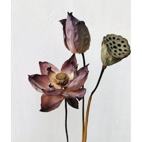 1Pcs Real Plants Lotus Dried Natural Flowers Beauty for Glamour Home Decor Desk Party Office Living Room Artificial Crafts