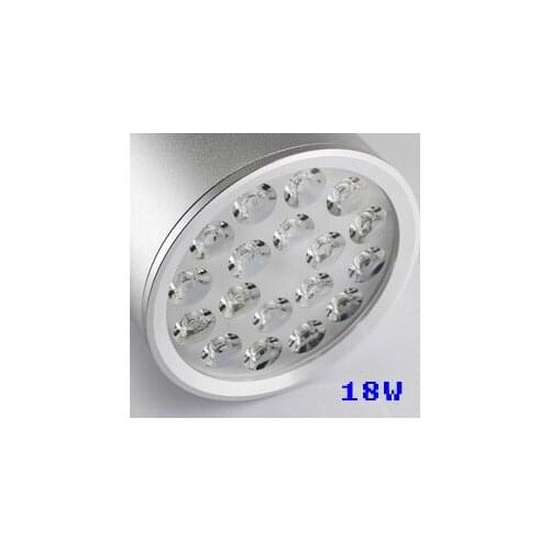 18W Decorative Inddor Led Ceiling Spot Light With Driver
