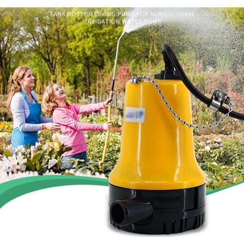 Agricultural Irrigation Water Removal Pump Electric Pumps Dropshipping 12V 24V Bilge Bomba De Agua Immersible Submersible Pump