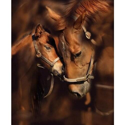 Diamond embroidery animal, 5D diamond cross stitch resin full diamond sets unfinished decorative, Diy Diamond painting horse