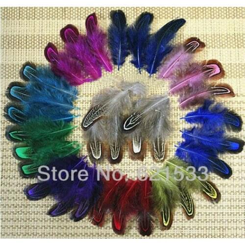 200Pcs/Lot 2-3 inches 5-7cm Loose Multicolor RINGNECK PHEASANT ALMOND FEATHERS FOR FLY TYING