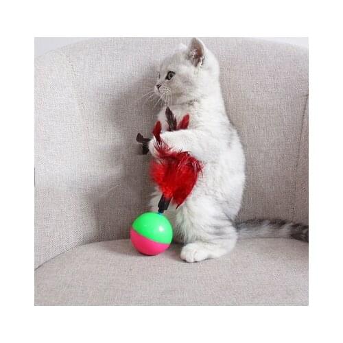 Pet Toys For Cats Feather Tumbler Funny Cat Toys Pet Supplies Feather Tumbler Funny Cat Toys Interactive Educational Toy