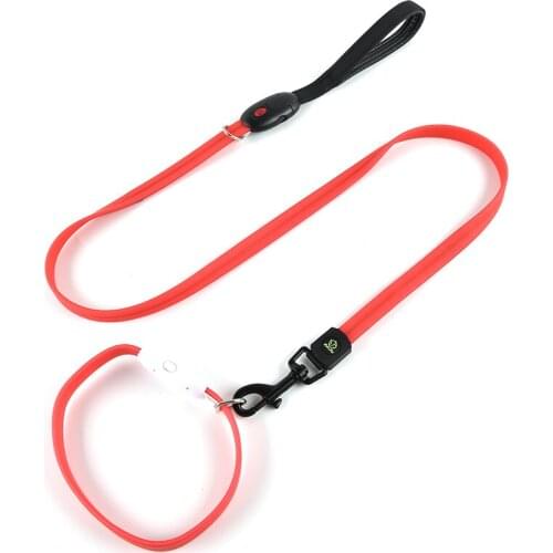2020 New Design Supar Light Dog Training Collars and Leashes Wholesale Personalized Dog Walking Leash