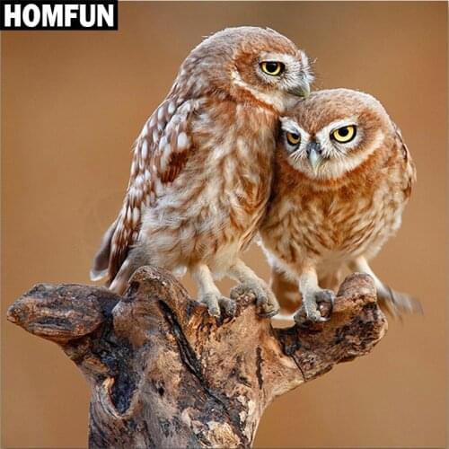 HOMFUN Full Square/Round Drill 5D DIY Diamond Painting "Animal owl" Embroidery Cross Stitch 5D Home Decor Gift A06166
