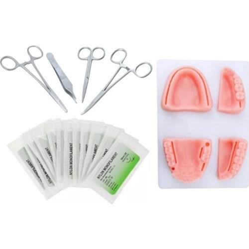 Simulation Oral Suture Model with Needle Gum Suture Teaching Training Equipment Skill Practice