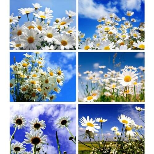 Canvas Size 5d DIY Full Square Diamond Painting Rhinestones Daisy Flower Embroidery Kits Cross Stitch Mosaic Sky Needlework