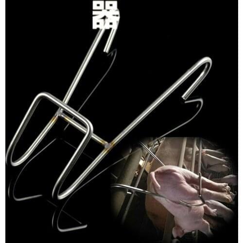 Goods For Pets LADOMILOV China