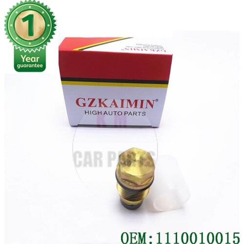 NEW 1110010018 Pressure Relief Valve 1110010015 Common Rail Pressure Limiting Valve For Chrysler FOR Voyager 01-07 1 110 010 015