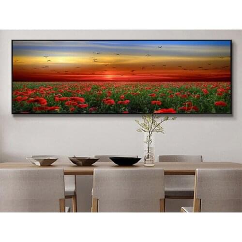 Diy diamond paintind rhinestone mosaic red poppy fields cross stitch 5d embroidery diamond full square round drill large A1024