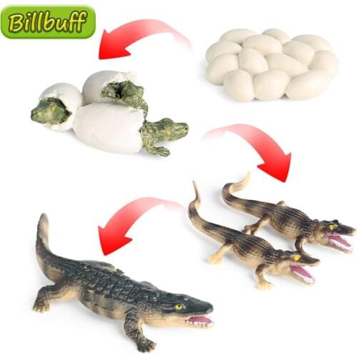 DIY Simulation Wilds Animals ABS Crocodile Cubs Action Figures Collection Miniature Cognition Educational Toys for Children Gift