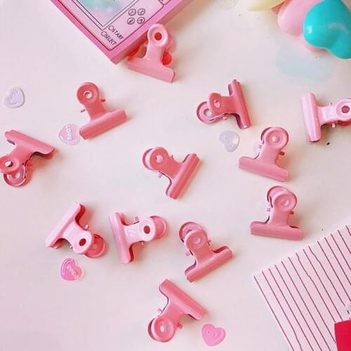 Viety Metal Paper Clips