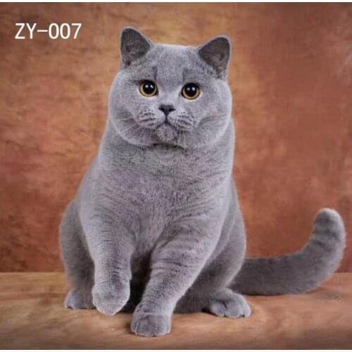 DAWNKNOW Pet Cat Photography Background Backdrop Painting Photocall Muslin Pro Tie-Dyed Shoot Photo Studio Props 2x3M