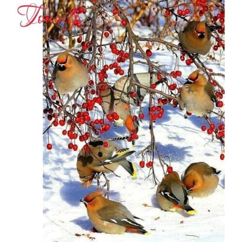 100% Full 5D Diy Daimond Painting Cross-stitch Birds Eating Fruits 3D Diamond Painting Round Rhinestones Paintings Embroidery