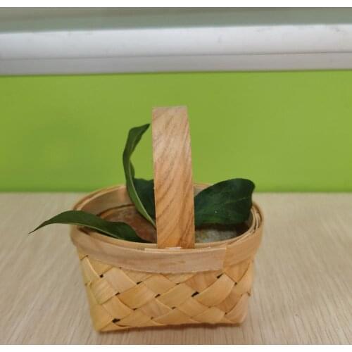 60% Dropshipping!!Wooden Woven Basket Sundries Organizer Plant Rattan Box Gifts Candy Container