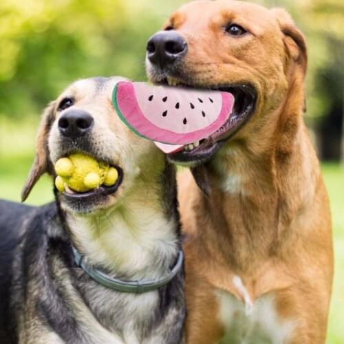 Toy for Pet Dog Interactive Toys Dog Puppy Cat Tugging Chew Squeaker Quack Sound Toy Chew Plush Play Toys