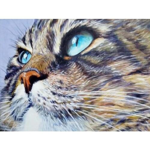 Cat Animal Printed Canvas 11CT Cross Stitch DIY Embroidery Kit DMC Threads Handiwork Sewing Handmade Handicraft Stamped Gift