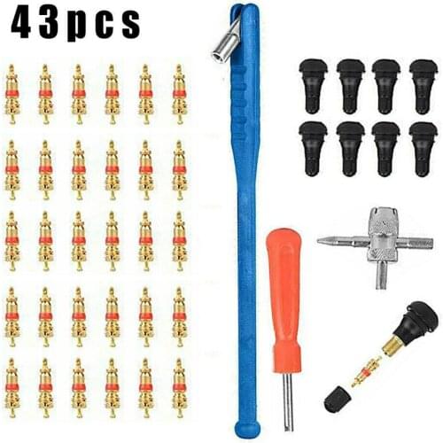 43pcs/Set Car Tyre Valve Repair Tool Kit Motorcycles Installation Tools Electric Vehicles Accessoires Tyre Valve Core Remover