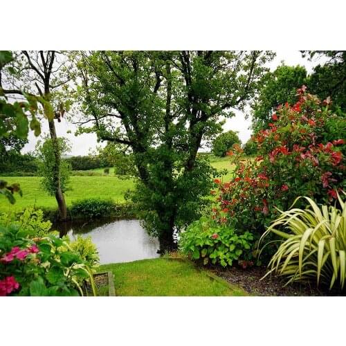 Scenic Pond Photography Backdrops For Photo Studio Custom Vinyl Photo Background Baby Children Portrait Backgrounds Photobooth