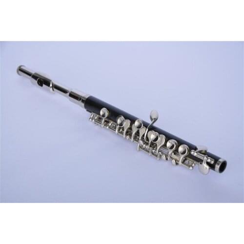 ABS Body Piccolo with Nickel Plated Keys and Nickel Plated Headjoint