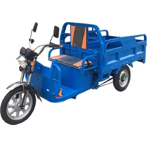 High capacity 370w Three wheel Adult electricTricycle Food cart with canpoy solar Panel