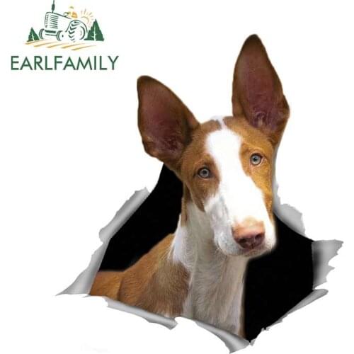 EARLFAMILY 13cm x 11.7cm For Dog Body For Car Decal Vinyl Material Car Stickers Waterproof Scratch-Proof Suitable For VAN RV