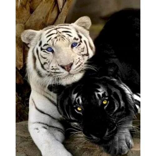 Animal Picture On Wall Acrylic Paint By Numbers Diy Painting By Numbers Children Gift Coloring By Numbers Black white tiger