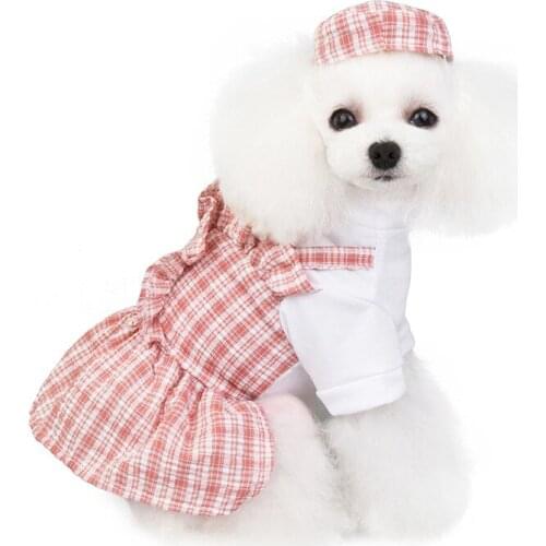 21New Dog Lady Clothes Lace Dress British Dog Hat Suit Clothes Party Wedding Bow Dress Puppy Costume Spring For Pet Clothes