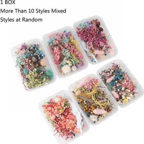 1 Box Real Pressed Flower Leaf Dried Daisy Flower Resin Flower Dry Beauty Nail Art Decals Epoxy Mold Fillings Jewelry Making