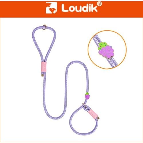 Nylon dog leash traction rope Middle large integrated Dog harness fashion Explosion-proof training dog collar designer P chain