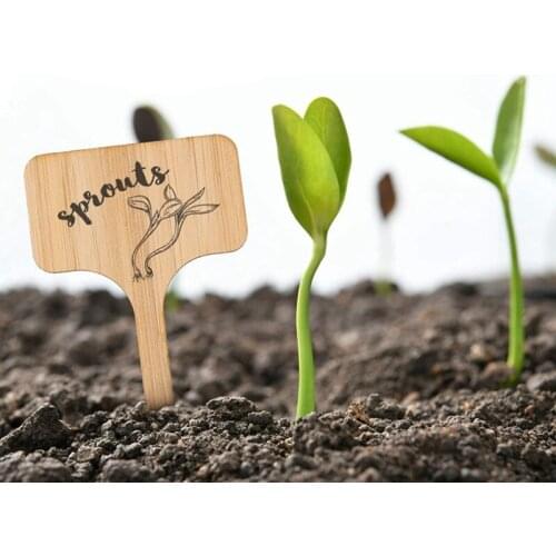 50 Pieces Of Bamboo Plant Label Garden Plant Label Kindergarten Garden Label Suitable For Vegetable Garden Plants