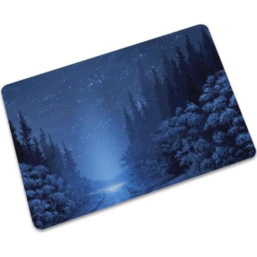 Drop shipping Home Decoration Landscape Kitchen Mat Anti-slip Thin Bathroom Carpet Home Entrance Door Mats Floor mat Hallway Rug