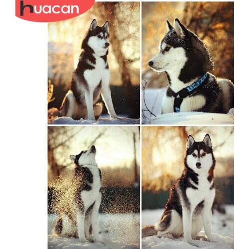 HUACAN Diamond Painting Husky Snow Full Drill Square Round Craft Kit Diamond Embroidery Animal Dog Art Rhinestone Handmade Gift