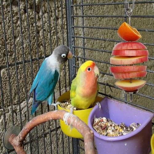 2021 New High Quality Pet Parrots Birds Food Holder Support Stainless Steel Fruit Spear Stick Meat Fruit Vegetable Skewer