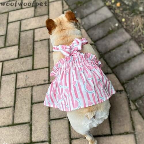 Summer Dog Costumes Dress for Small Dog Skirt French Bulldog Clothing Teddy Skirt Slip Corgi Poodle Pug Pomeranian Cat Pet Dress