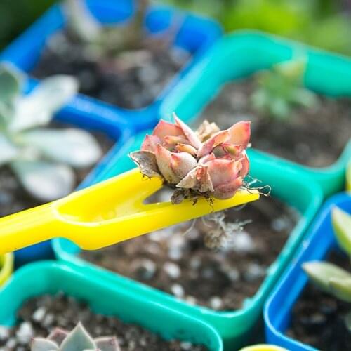 Not Excellent Material Do Hurt Plant Seedlings Dug -in - line Transplant Device Miao Device Seedling Seedling Sowing Tools