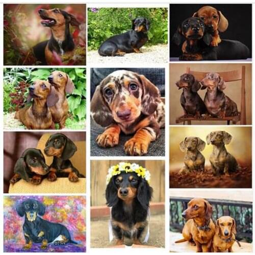 Diy 5d diamond painting Dachshund rhinestones full square diamond embroidery animal cute Dog cross stitch mozaik puzzle ZP-2430