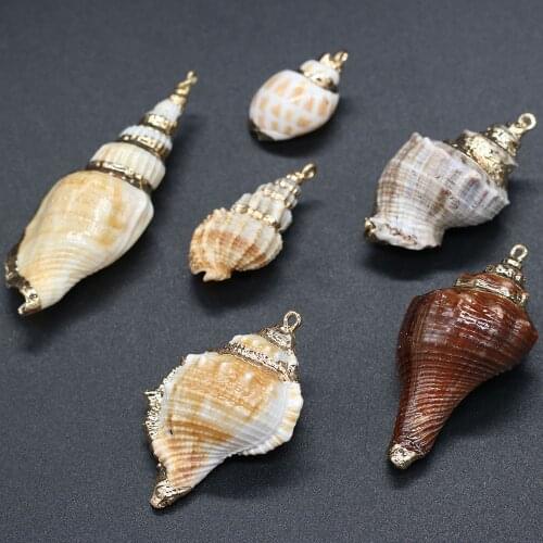 New 5PCS Natural Small Conch Shell Pendants Charms Pendants DIY for Necklace or Jewelry Making