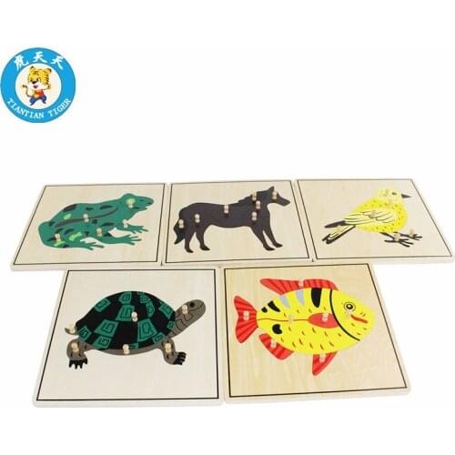 New Baby Montessori Wooden Toys Early Education Training Toys Grasping Animal Skeleton Puzzles