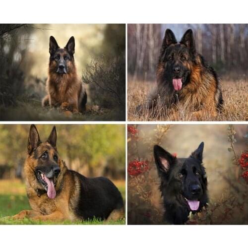 Full Square/Round 5D DIY Diamond Painting Animal dog cute pictures of Rhinestones Diamond Embroidery Sale Home Decoration FG1831