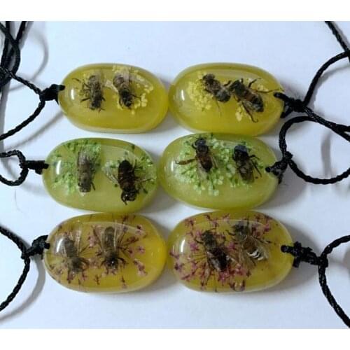 12pcs YQTDMY Bee Collection Magic Specimen Charming Pendant