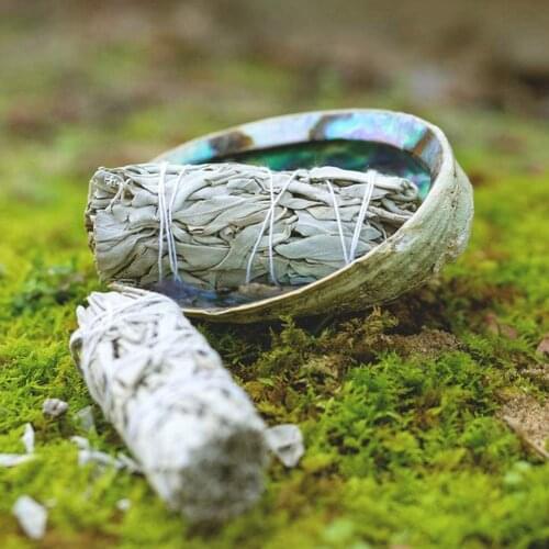 White Sage Bundles Smudge Sticks Indoor Purification Smoking For Home Cleansing Healing Yoga Meditation Supplies