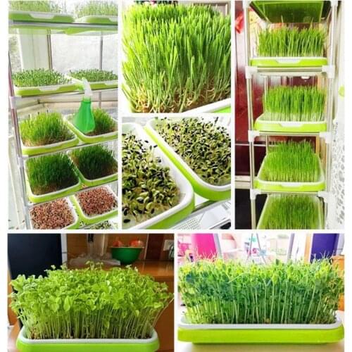 A Seed Sprouter Tray Double-layer Soilless Culture Seeds Hydroponic Nursery Tray Garden Supplies Household Petri Dish Drop Ship